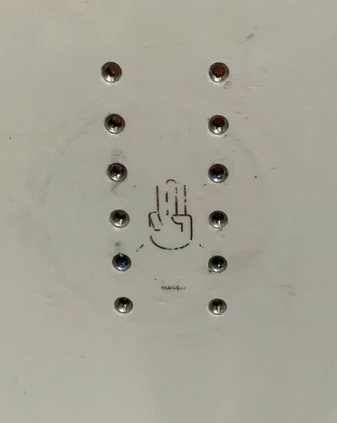 Bataleon Magic Carpet 156 3 Bataleon Magic Carpet 156 – Image 3