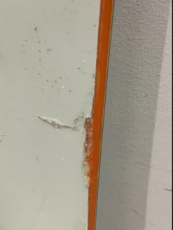 Bataleon Magic Carpet 156 9 Bataleon Magic Carpet 156 -MRA Snow Magasin 27 1