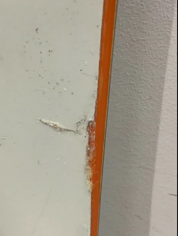 Bataleon Magic Carpet 156 5 Bataleon Magic Carpet 156 – Image 5