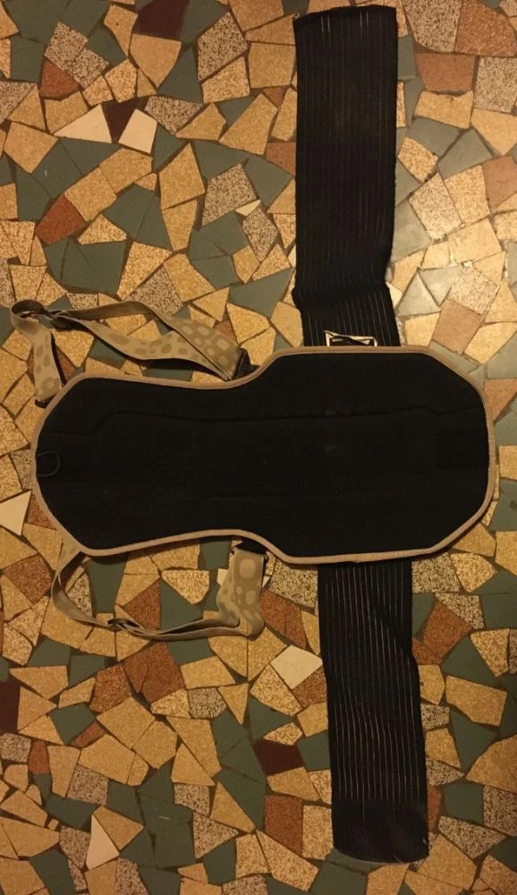 POC Spine Ergo Bug 2 POC Spine Ergo Bug – Image 2