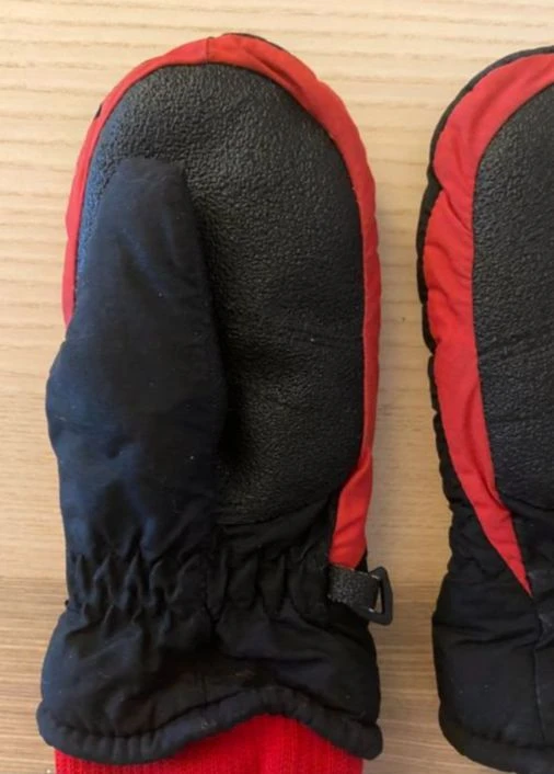 Rossignol Polyvalentes 2 Rossignol Polyvalentes – Image 2