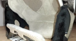 Uvex Prosecco -MRA Snow Magasin 88